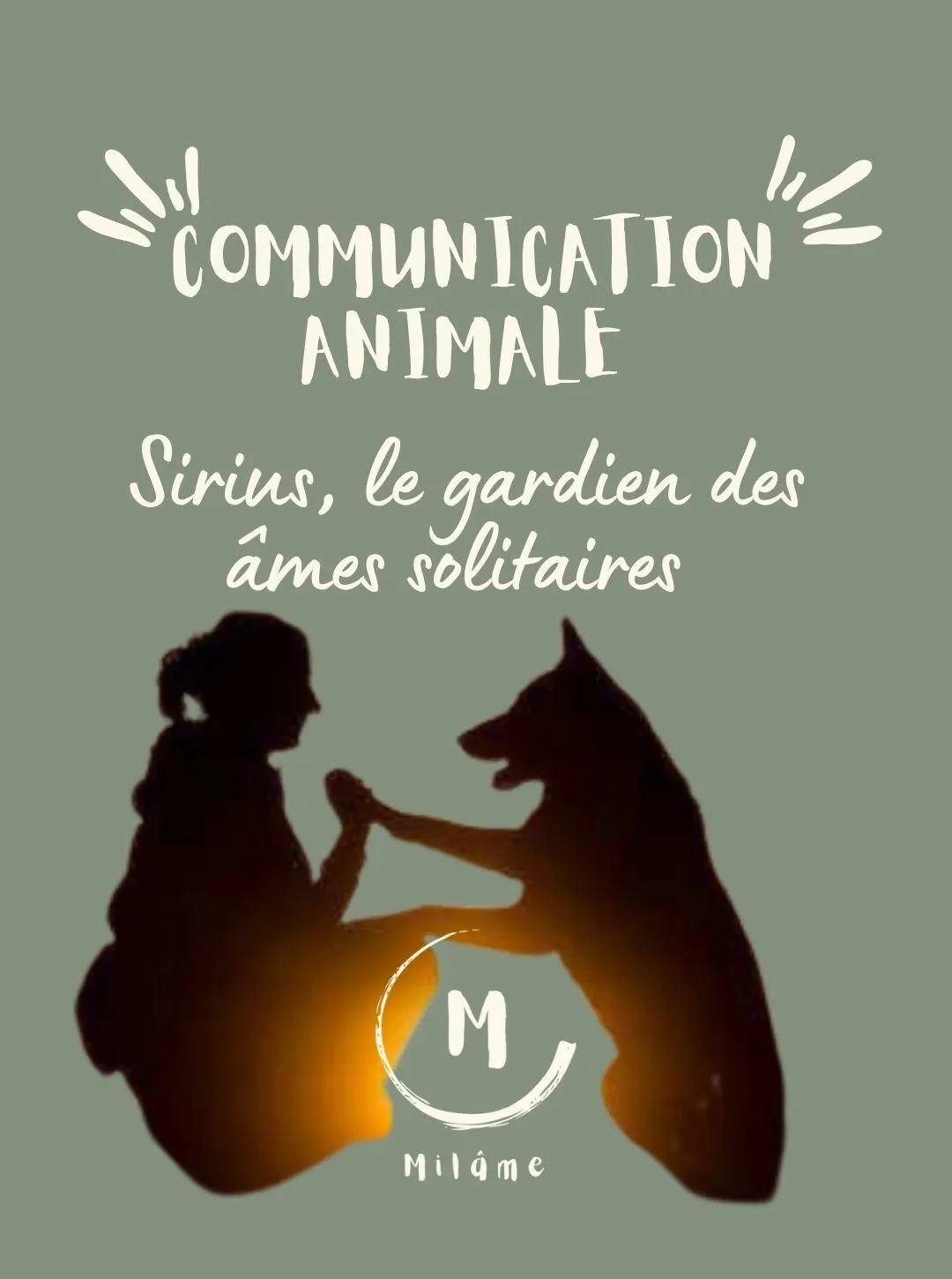 Réincarnation animaux 